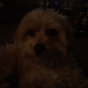 Meet your Posher, Lori